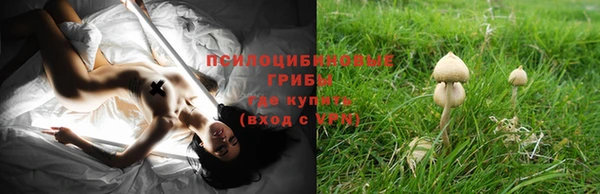 синтетический гашиш Зерноград